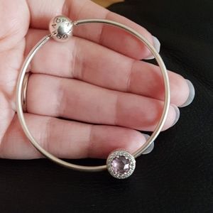 Pandora Essence charm